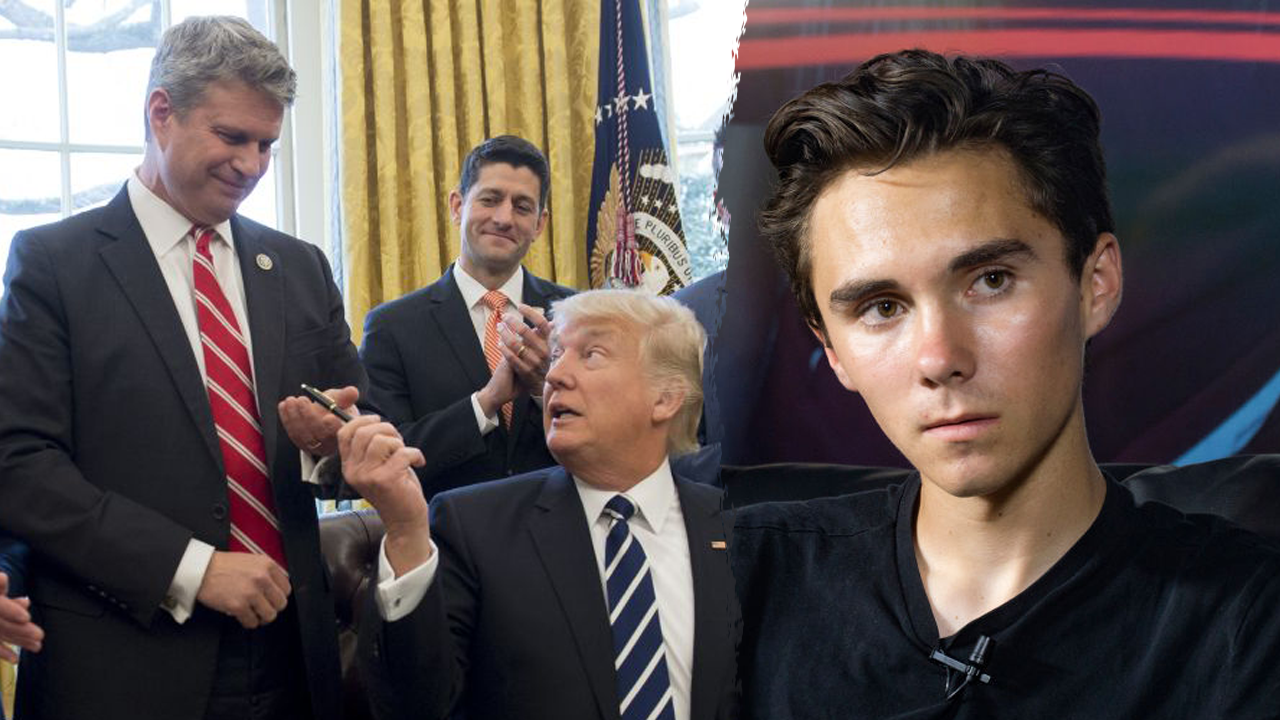 NRSC, DNC depict differing primary strategies with Hogg at the fore